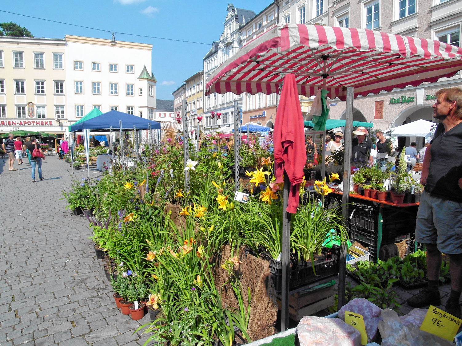 Markt für Blumen- und Gartenliebhaber