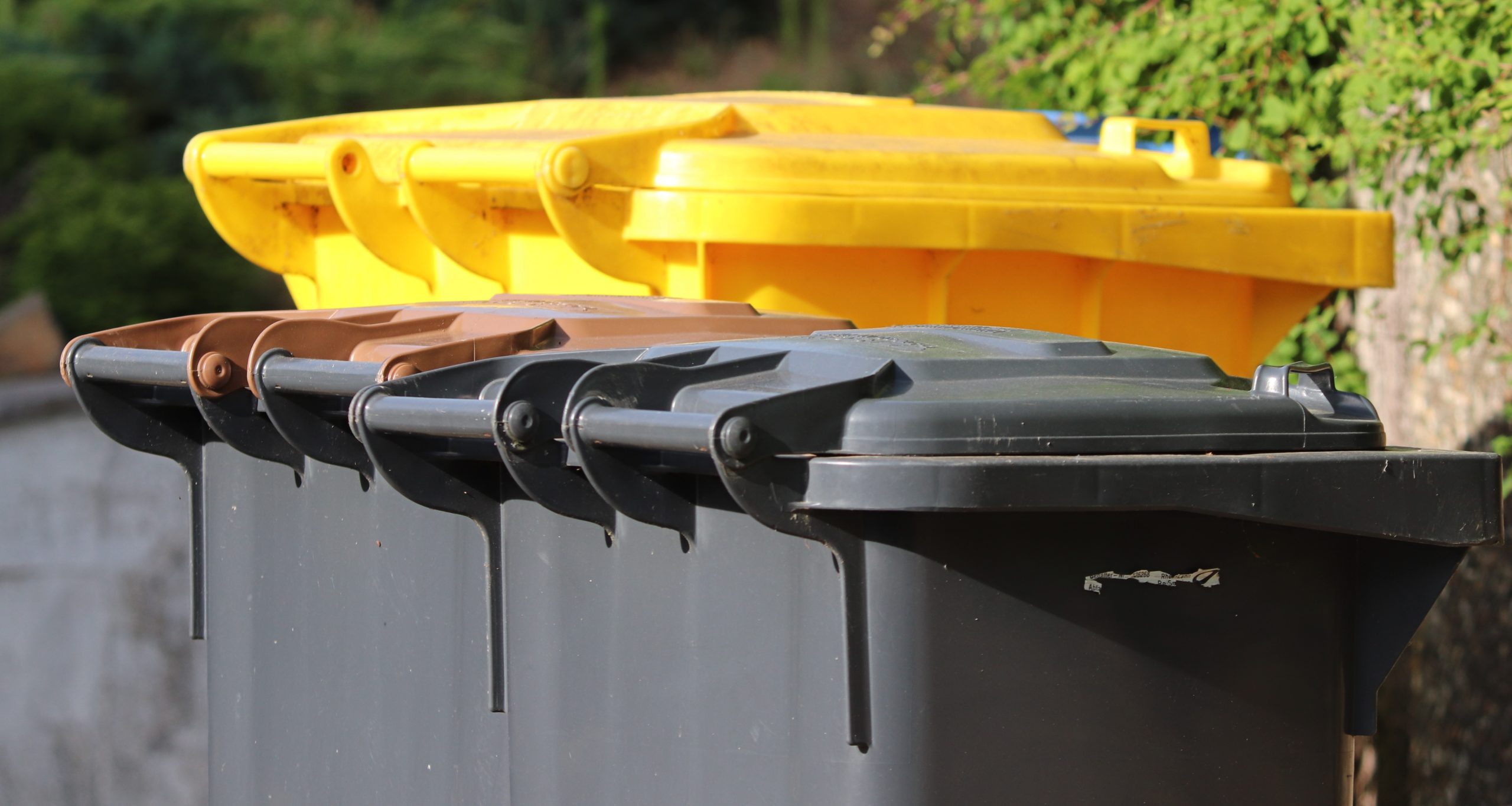 Kein Probebetrieb mit Gelber Tonne