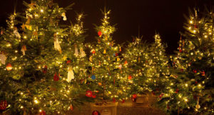 Prien leuchtet Prien leuchtet