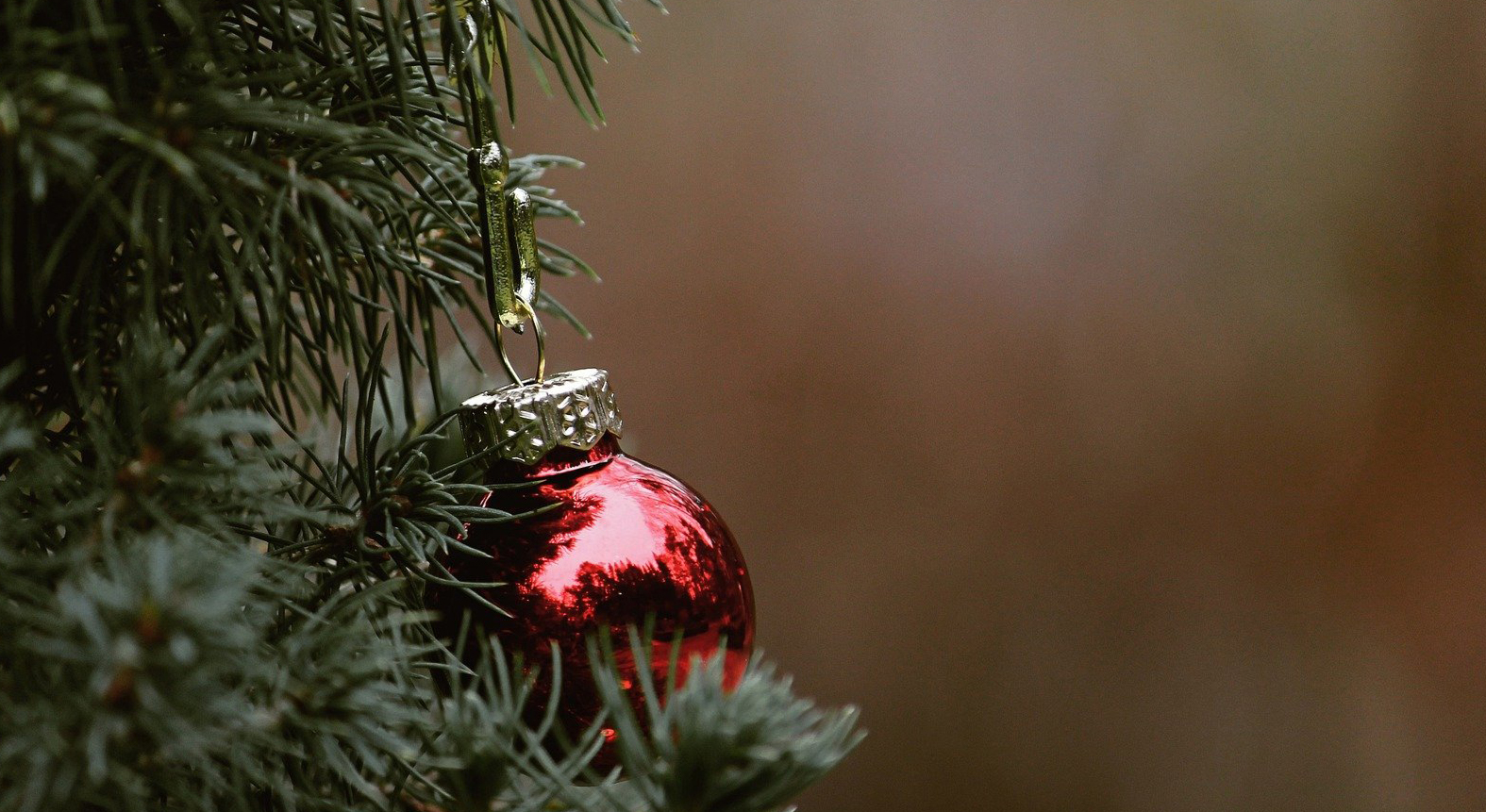 Christbaumentsorgung